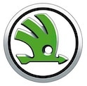 skoda Slack emoji