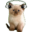 jam kitty Slack emoji