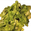 bud Slack emoji