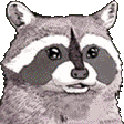rgbcoon Slack emoji