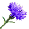 kornblume Slack emoji