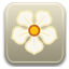 magnolia Slack emoji