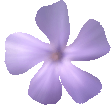 violet Slack emoji