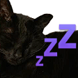 zzz cat Slack emoji