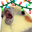 xmas bird Slack emoji