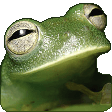 frog chill Slack emoji