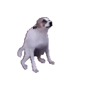 dog dance Slack emoji