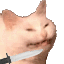 cattostabbing Slack emoji