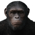 ape Slack emoji
