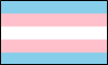 prideflag trans Slack emoji