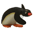 nootnoot Slack emoji