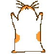 hamster spin Slack emoji