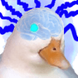 quack iq Slack emoji
