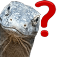 komodo what Slack emoji
