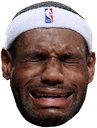 crying lebron james Slack emoji