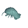 isopod Slack emoji