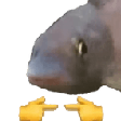 is for fish Slack emoji
