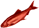 redherring Slack emoji