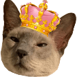 queen cat Slack emoji
