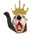 queen otter Slack emoji