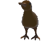 kiwi spin Slack emoji