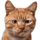 cat smirk Slack emoji