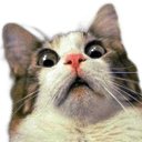 cat shocked Slack emoji