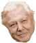 attenborough Slack emoji
