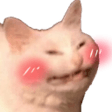 cat blush Slack emoji