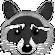 raccoon Slack emoji