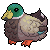 mallard Slack emoji