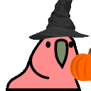 pumpkin parrot Slack emoji