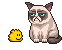 knuddels grumpy cat Slack emoji