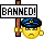 banned Slack emoji