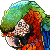 macaw Slack emoji