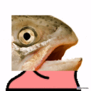 salmon parrot Slack emoji