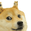 doge fractl no bg Slack emoji