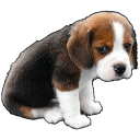 bender neat Slack emoji