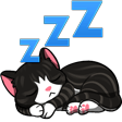 zzz cat Slack emoji