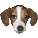 frankerz Slack emoji