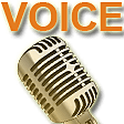 voice Slack emoji
