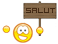 salut Slack emoji