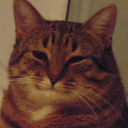 good cat Slack emoji