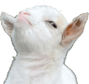 proud goat Slack emoji