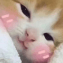 blushe Slack emoji