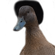 a flac Slack emoji