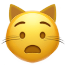 anguished cat Slack emoji