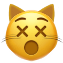 dizzy cat face Slack emoji