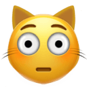 flushed cat Slack emoji
