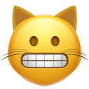 grimacing cat Slack emoji